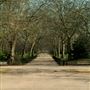 Battersea Park