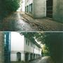 Charles Darwin School