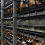 Lloyd's of London