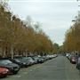 Maida Vale area