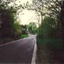 Vine Road