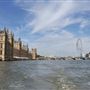 Thames Views in Westminster