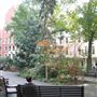 Soho Square