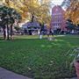 Soho Square