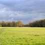 Wimbledon Common