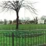 Mitcham Cricket Green