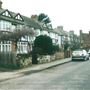 Hollybush Grove