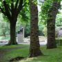 Holland Park