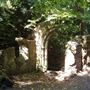 Sydenham Hill Wood
