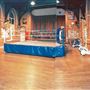 All Stars Boxing Gym