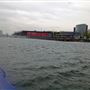 London's Royal Docks - Royal Victoria Dock