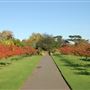 Royal Botanic Gardens, Kew