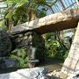 Royal Botanic Gardens, Kew