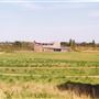Eastbrookend Country Park