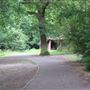 Cherry Tree Wood