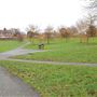 Altash Gardens