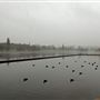 Danson Park