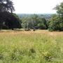 Oxleas Woods, Jack Wood and Castlewood