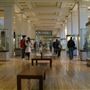 British Museum