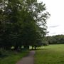Highgate Wood