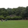 Highgate Wood