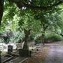 Lavender Hill Cemetery