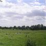 Hertford Road Cemetery
