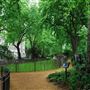 Woburn Square