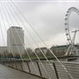 Golden Jubilee Bridges