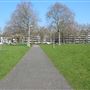 Well Street Common