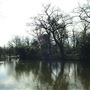 Tooting Bec Common