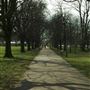 Tooting Bec Common