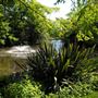 Springfield Park