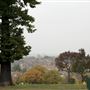 Norwood Grove