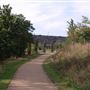 Mile End Park