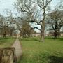 Tooting Triangle