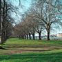 Wandsworth Park