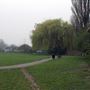 Haydons Road Recreation Ground