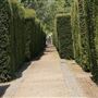 Chiswick House Grounds