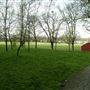 Downhills Park