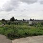 Gibbons Road Allotments