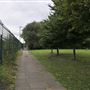 Gibbons Road Allotments