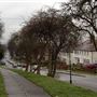 Erith Streets