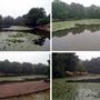 Keston Ponds