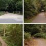 Scadbury Park