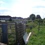 White Hart Lane Allotments