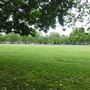 Highbury Fields