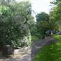 Cheyne Walk