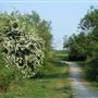 Hornchurch Country Park