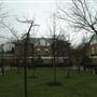 St Joseph's Vale